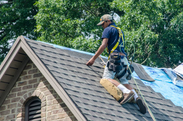 Best Roofing Contractor Near Me  in Gray, GA